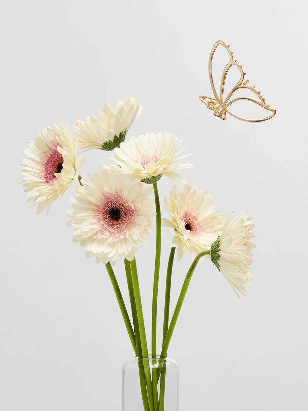 GILDED WING BUTTERFLY CLAW CLIP- Gold